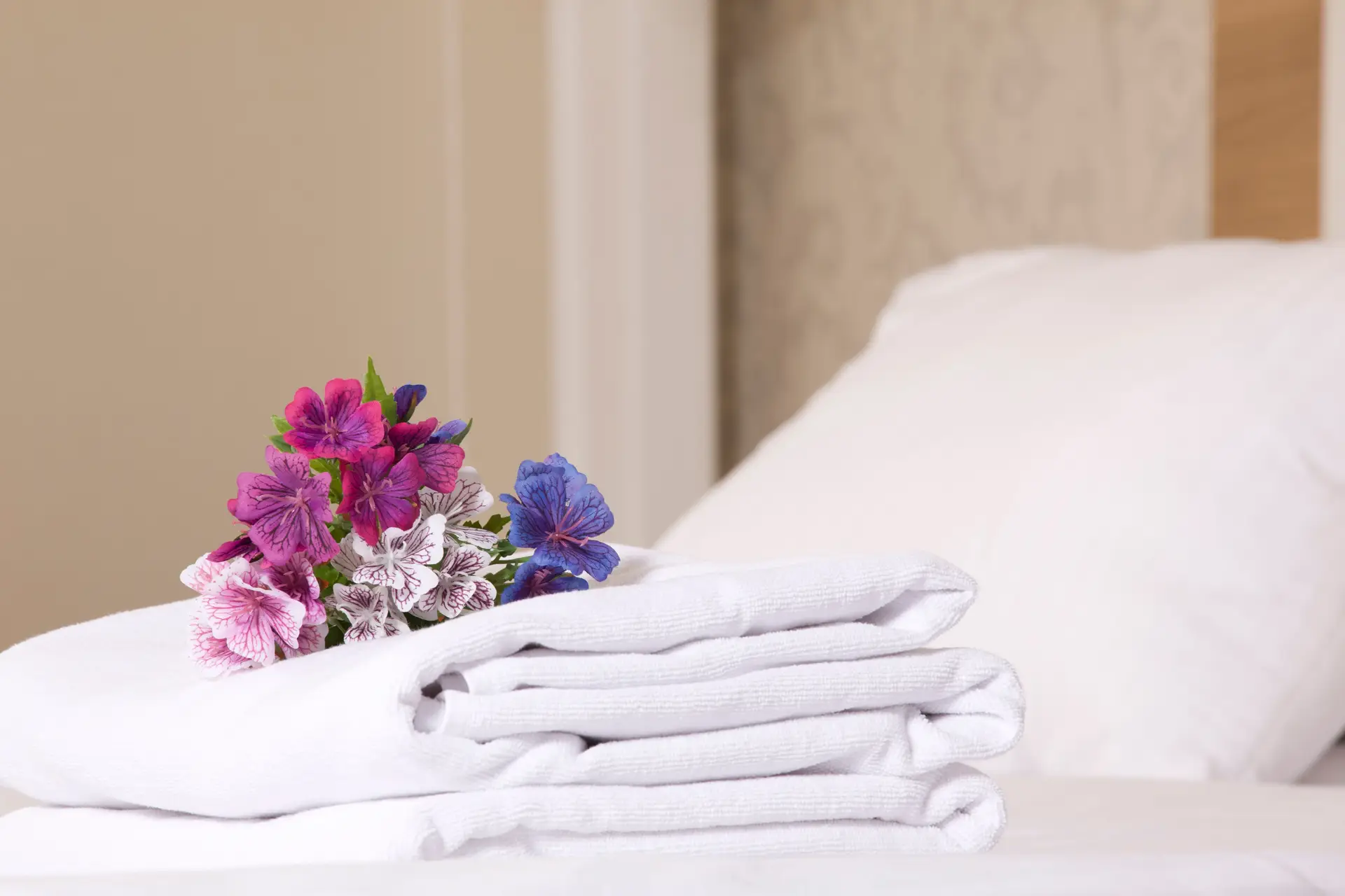 Wellness brisače in vstop v sprostitveni spa center